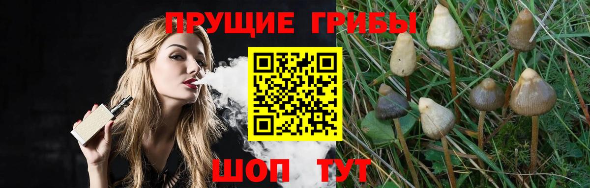Галлюциногенные грибы Psilocybine cubensis  Вход с VPN  цена наркотик  Михайловск 